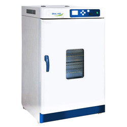 Drying Oven BODR-305 Drying Oven BODR-305