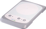 Magnetic Stirrer BMGS-109